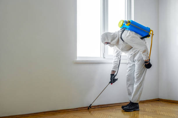 Best Commercial Pest Control  in Luling, TX